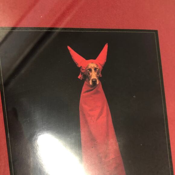 William Wegman Weimeraner Art Print "Devil Dog" Professionally Framed 11x9" - Picture 2 of 11